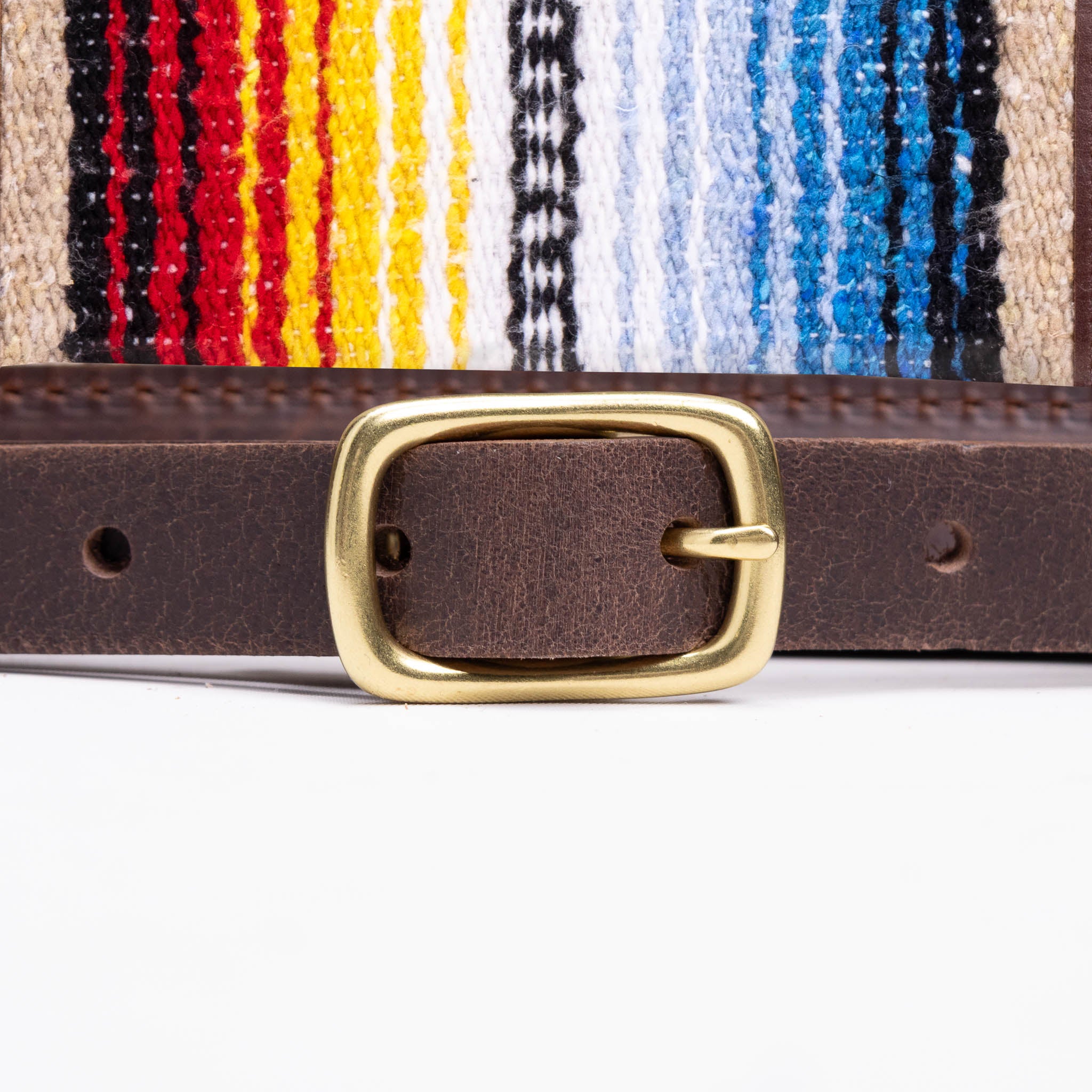 Parkway Saddlebag- Serape